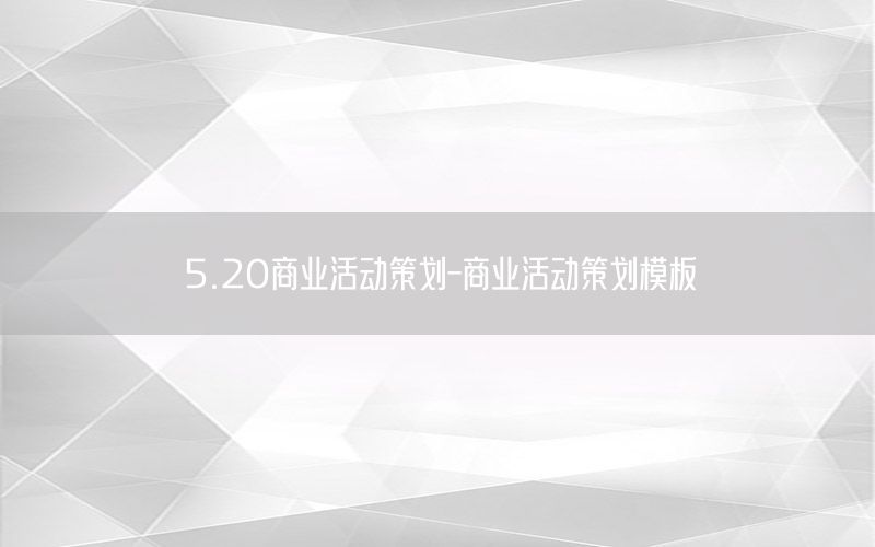 5.20商业活动策划-商业活动策划模板
